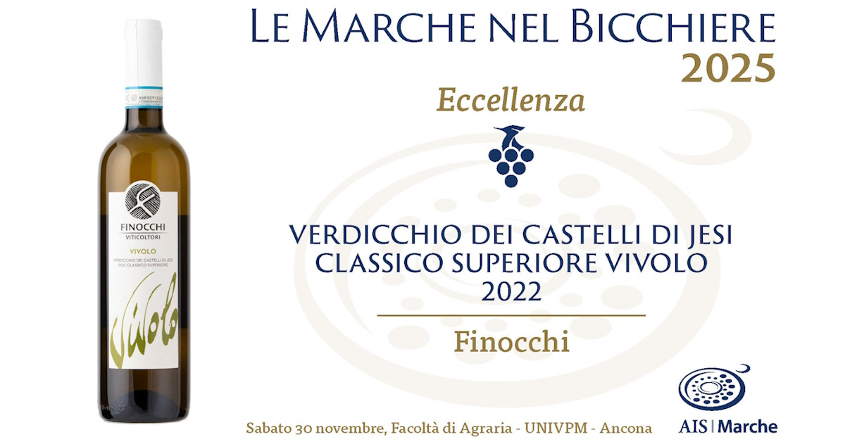 VIVOLO 2022 Eccellenza nella guida "Le Marche nel Bicchiere 2025"